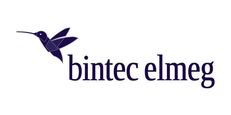 Bintec Elmeg